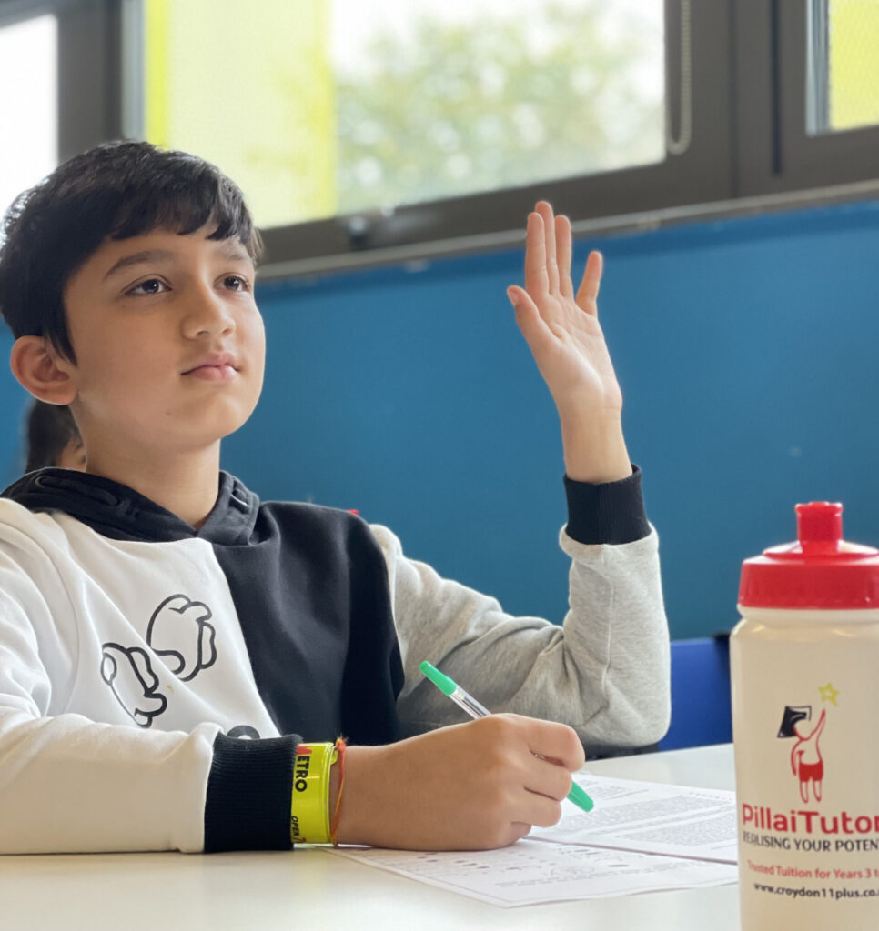 Pupil learning at Pillai Tutors